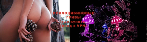 скорость Белокуриха