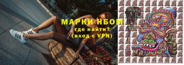 ГАЛЛЮЦИНОГЕННЫЕ ГРИБЫ Белоозёрский