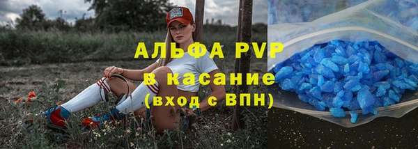 ГАЛЛЮЦИНОГЕННЫЕ ГРИБЫ Белоозёрский
