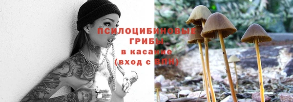 ешки Беломорск